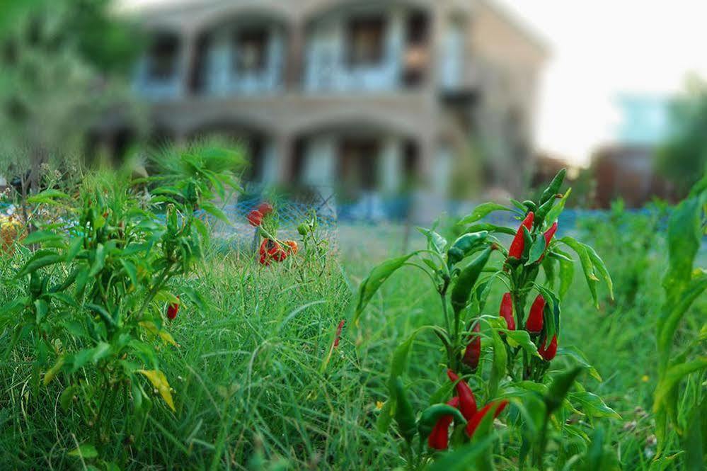Cunda Deniz Hotel Ayvalı Exteriör bild